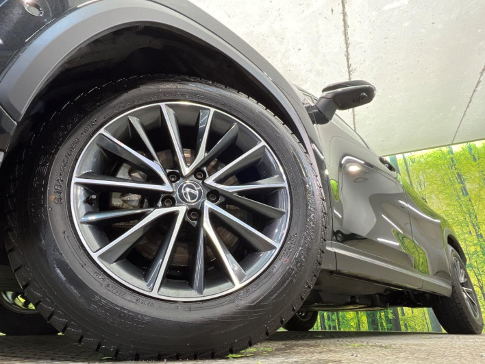2023 Lexus NX 6AA-AAZH25 (UW-69f066628ded8)[9]