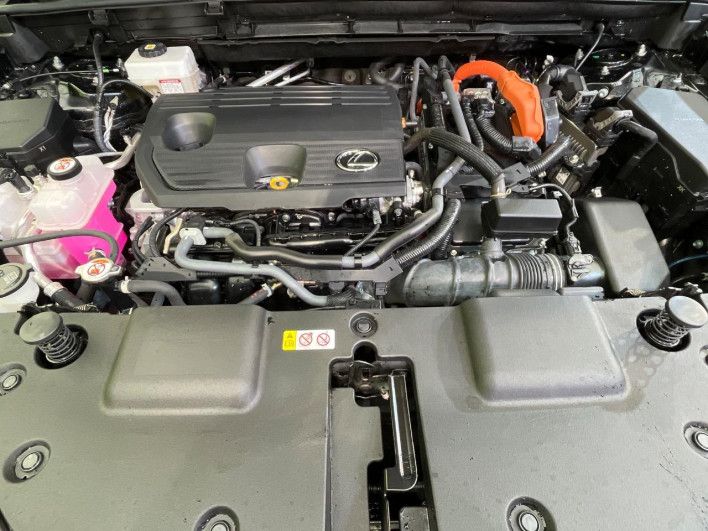 2023 Lexus NX 6AA-AAZH25 (UW-69f066628ded8)[4]