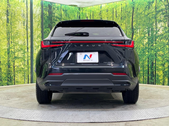 2023 Lexus NX 6AA-AAZH25 (UW-69f066628ded8)[16]