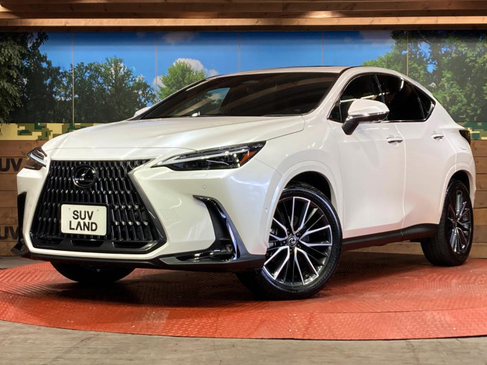 2021 Lexus NX 6LA-AAZH26 (UW-69f06663ed82f)[0]