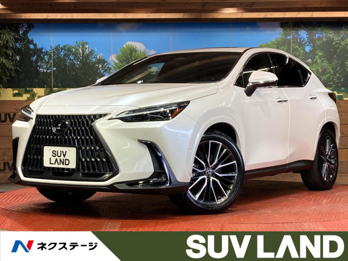 2021 Lexus NX 6LA-AAZH26 (UW-69f06663ed82f)[3]
