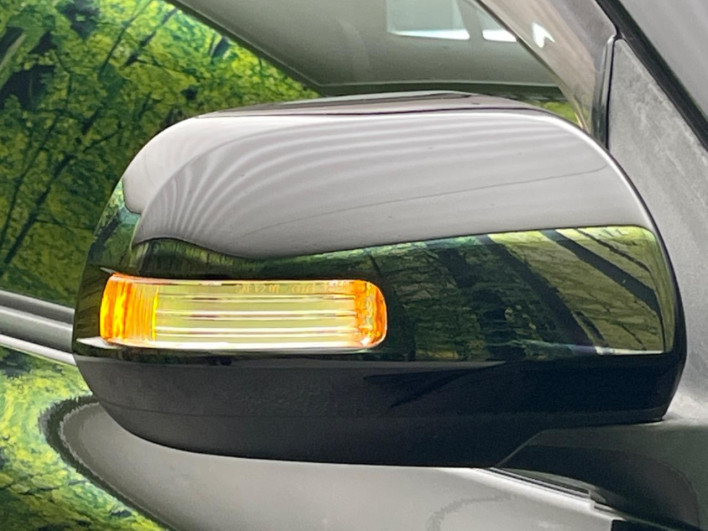 2010 Toyota Vanguard DBA-ACA33W (UW-69f06663edfb9)[28]