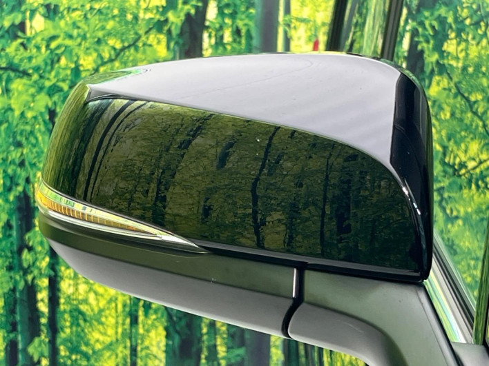 2021 Toyota Alphard 3BA-AGH30W (UW-69f06668affbc)[12]