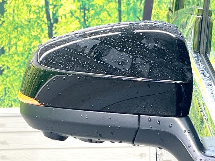 2024 Toyota Alphard 3BA-AGH40W (UW-69f0666d4917e)[18]