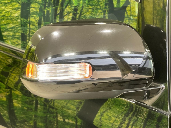 2012 Toyota Vellfire DBA-ANH20W (UW-69f066703c43e)[14]