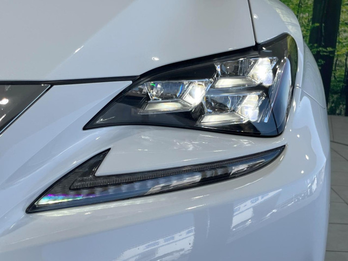 2018 Lexus RC DBA-ASC10 (UW-69f06671a8ea8)[9]