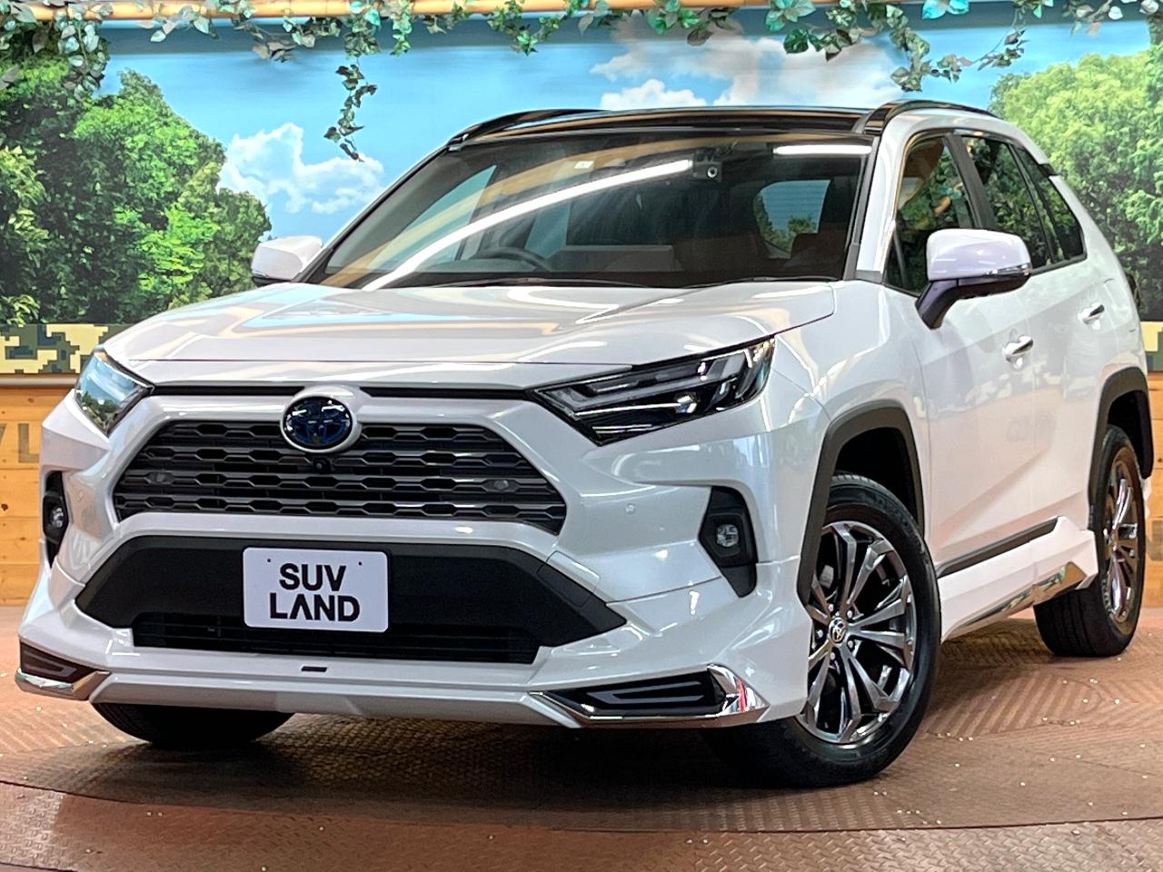 2023 Toyota RAV4 6AA-AXAH54