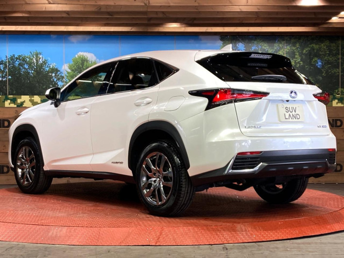 2021 Lexus NX 6AA-AYZ10 (UW-69f0667db76bd)[22]