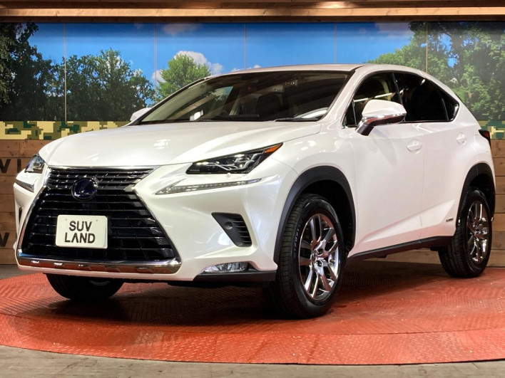 2021 Lexus NX 6AA-AYZ10 (UW-69f0667db76bd)[24]