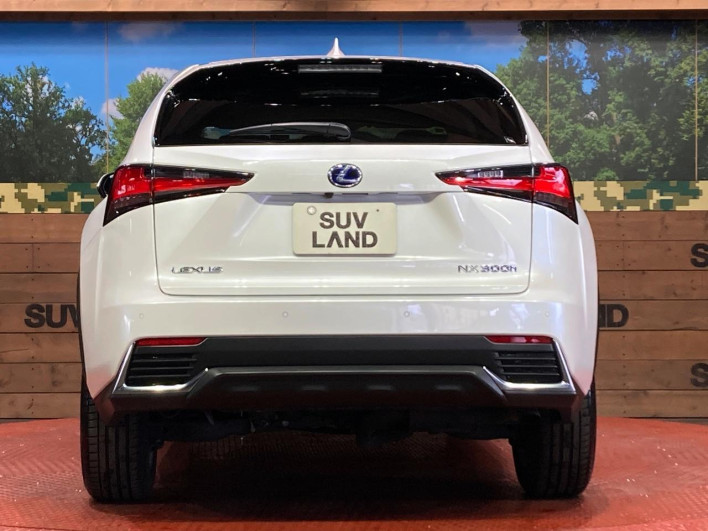 2021 Lexus NX 6AA-AYZ10 (UW-69f0667db76bd)[21]