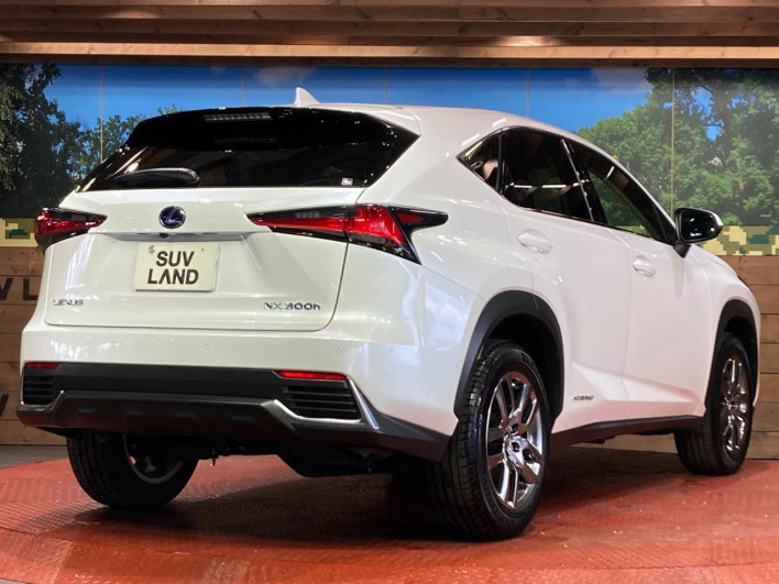 2021 Lexus NX 6AA-AYZ10 (UW-69f0667db76bd)[20]