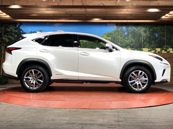 2021 Lexus NX 6AA-AYZ10 (UW-69f0667db76bd)[19]