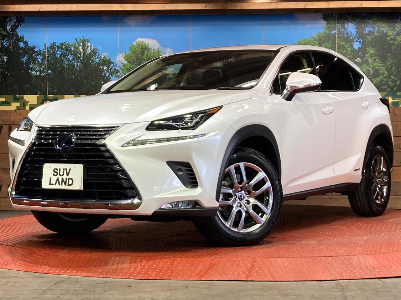 2021 Lexus NX 6AA-AYZ10