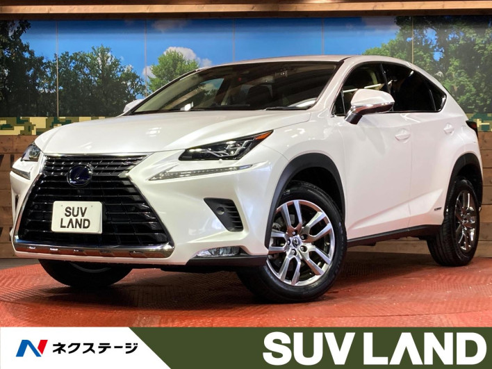 2021 Lexus NX 6AA-AYZ10 (UW-69f0667db76bd)[3]