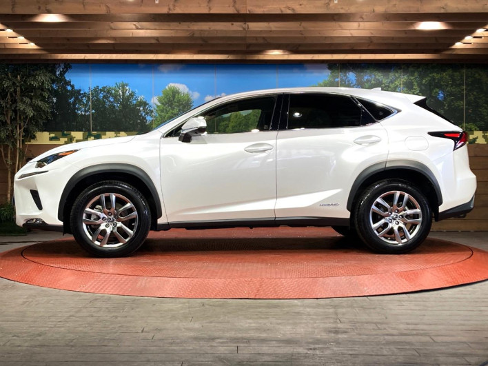 2021 Lexus NX 6AA-AYZ10 (UW-69f0667db76bd)[23]