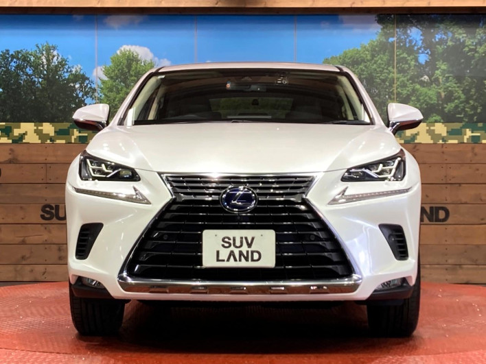 2021 Lexus NX 6AA-AYZ10 (UW-69f0667db76bd)[16]