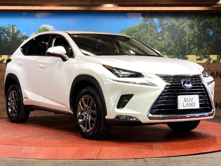 2021 Lexus NX 6AA-AYZ10 (UW-69f0667db76bd)[17]