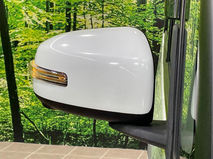 2019 Nissan DAYZ ROOX DBA-B21A (UW-69f066847f505)[8]