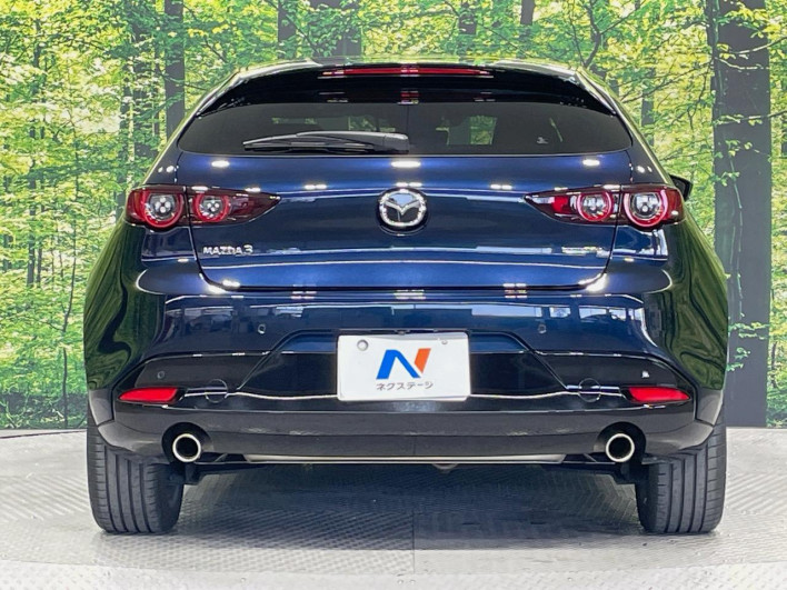 2019 Mazda Mazda 3 Fastback 6BA-BP5P (UW-69f06691ca5fd)[17]