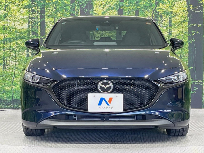 2019 Mazda Mazda 3 Fastback 6BA-BP5P (UW-69f06691ca5fd)[13]