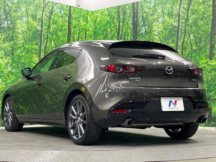 2021 Mazda Mazda 3 Fastback 6BA-BP5P (UW-69f06691df236)[23]