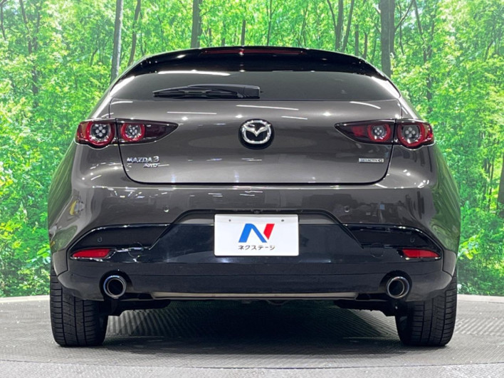 2021 Mazda Mazda 3 Fastback 6BA-BP5P (UW-69f06691df236)[15]