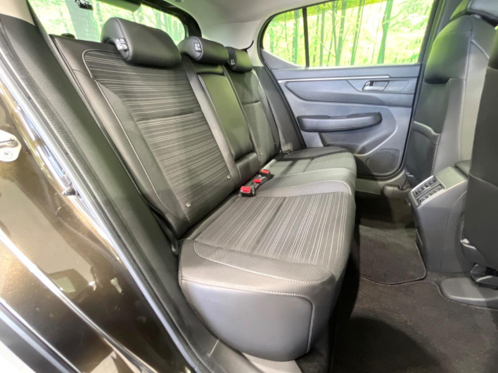 2024 Honda WR-V 5BA-DG5 (UW-69f0669aa57ec)[23]