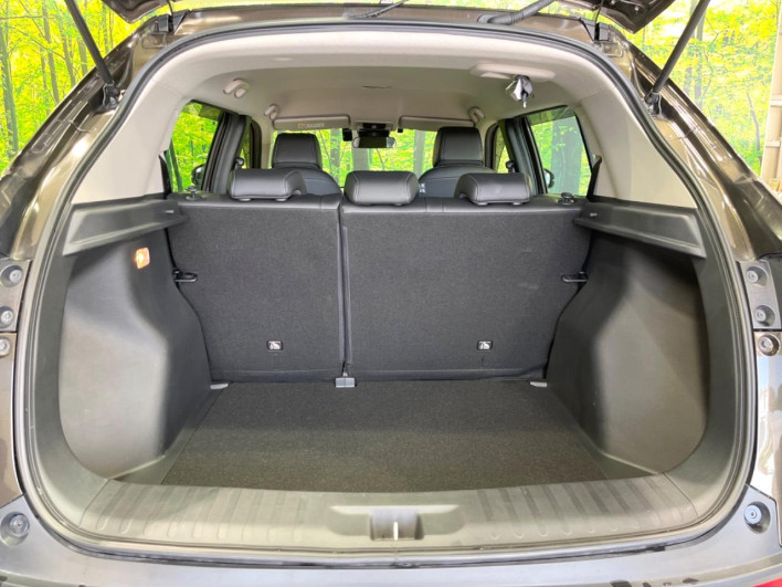 2024 Honda WR-V 5BA-DG5 (UW-69f0669aa57ec)[19]