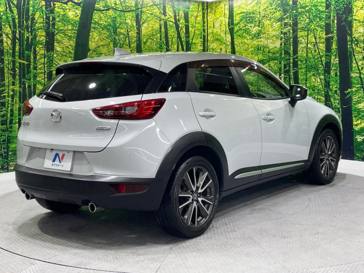 2015 Mazda CX-3 LDA-DK5FW (UW-69f0669dc3484)[19]