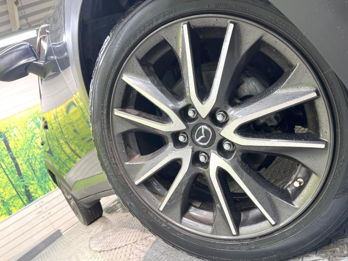 2016 Mazda CX-3 LDA-DK5FW (UW-69f0669e473f6)[19]