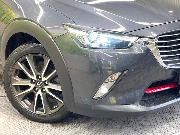 2016 Mazda CX-3 LDA-DK5FW (UW-69f0669e473f6)[17]