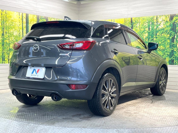 2016 Mazda CX-3 LDA-DK5FW (UW-69f0669e473f6)[11]