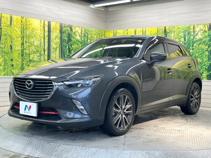 2016 Mazda CX-3 LDA-DK5FW (UW-69f0669e473f6)[15]