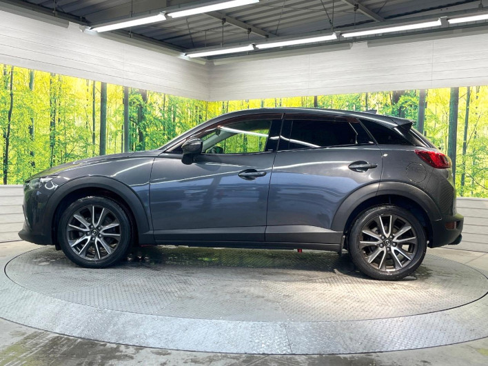 2016 Mazda CX-3 LDA-DK5FW (UW-69f0669e473f6)[14]