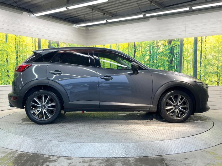 2016 Mazda CX-3 LDA-DK5FW (UW-69f0669e473f6)[10]