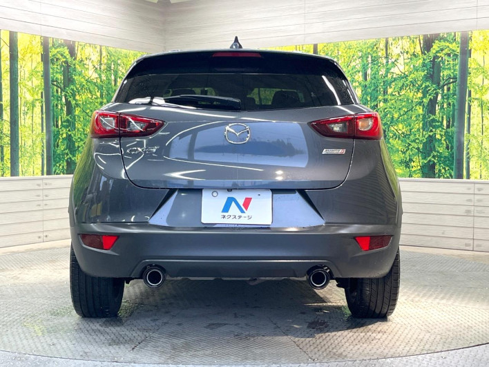2016 Mazda CX-3 LDA-DK5FW (UW-69f0669e473f6)[12]