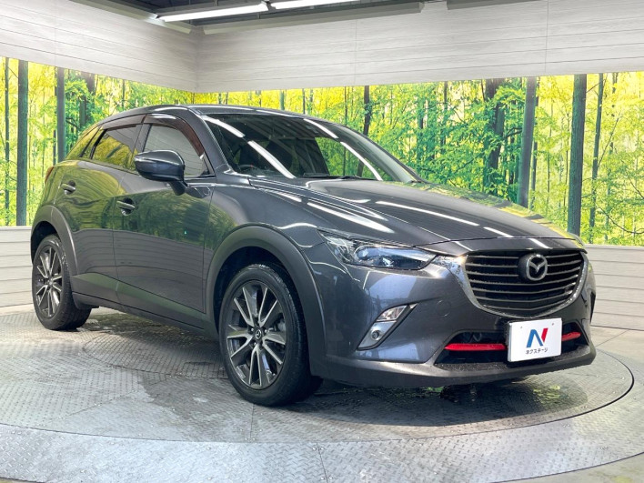 2016 Mazda CX-3 LDA-DK5FW (UW-69f0669e473f6)[9]