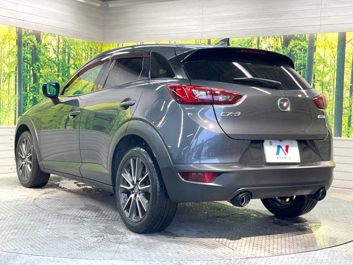 2016 Mazda CX-3 LDA-DK5FW (UW-69f0669e473f6)[13]