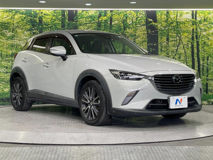 2017 Mazda CX-3 LDA-DK5FW (UW-69f0669eb0aa8)[14]
