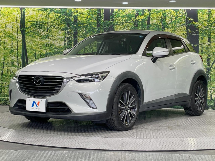 2017 Mazda CX-3 LDA-DK5FW (UW-69f0669eb0aa8)[12]