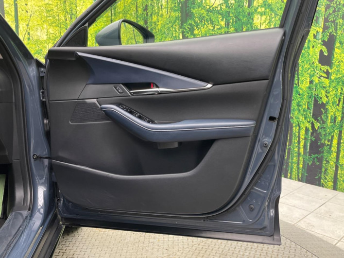 2019 Mazda CX-30 3DA-DM8P (UW-69f0669f9a82a)[24]