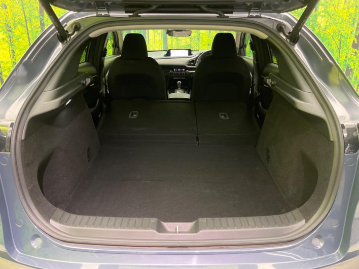 2019 Mazda CX-30 3DA-DM8P (UW-69f0669f9a82a)[13]