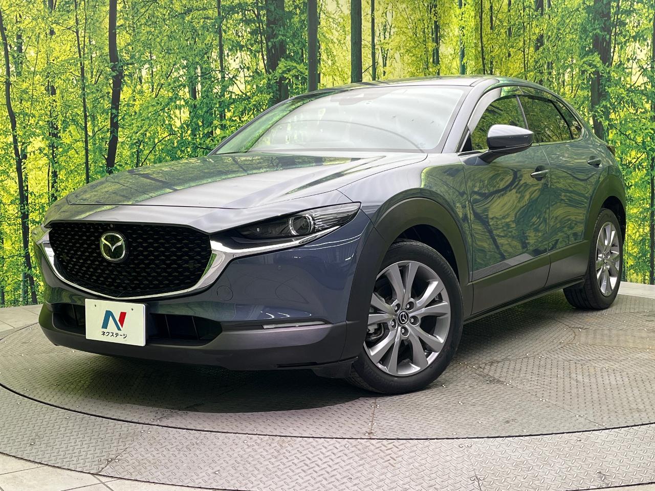 2019 Mazda CX-30 3DA-DM8P