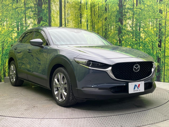 2019 Mazda CX-30 3DA-DM8P (UW-69f0669f9a82a)[10]
