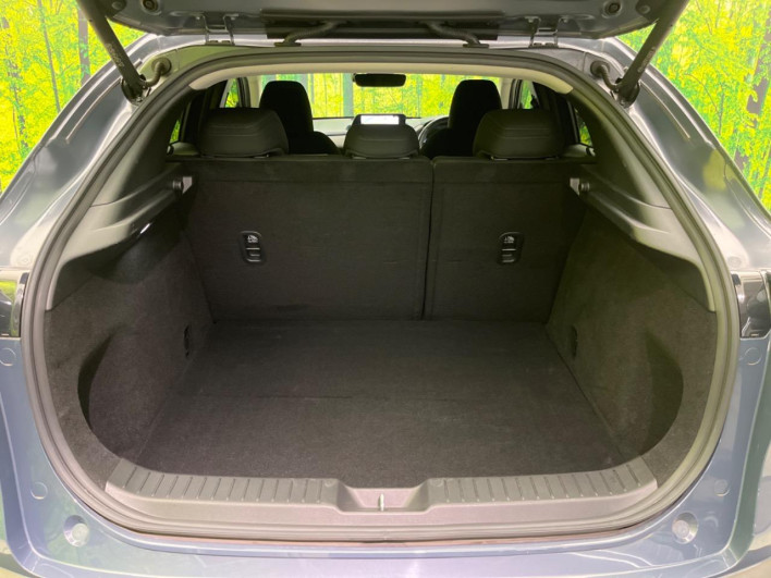 2019 Mazda CX-30 3DA-DM8P (UW-69f0669f9a82a)[14]