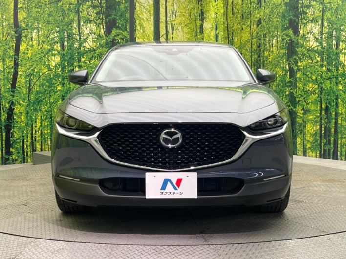 2019 Mazda CX-30 3DA-DM8P (UW-69f0669f9a82a)[9]
