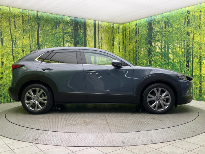 2019 Mazda CX-30 3DA-DM8P (UW-69f0669f9a82a)[11]