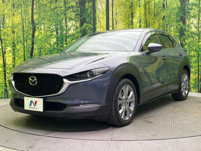 2019 Mazda CX-30 3DA-DM8P (UW-69f0669f9a82a)[8]