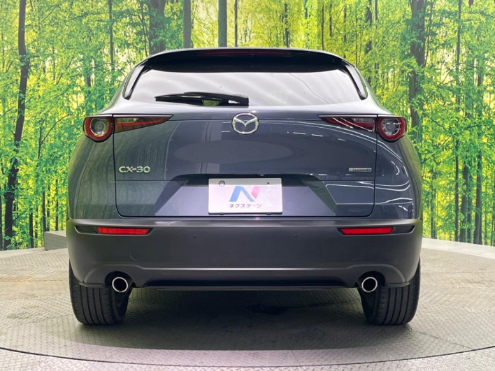2019 Mazda CX-30 3DA-DM8P (UW-69f0669f9a82a)[28]