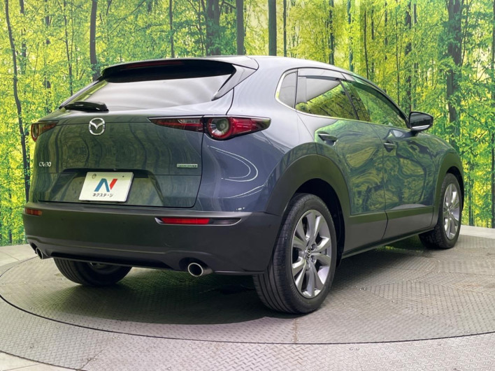 2019 Mazda CX-30 3DA-DM8P (UW-69f0669f9a82a)[12]